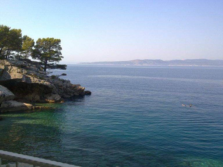 Náhled aktuality xzvxvxcvxcv