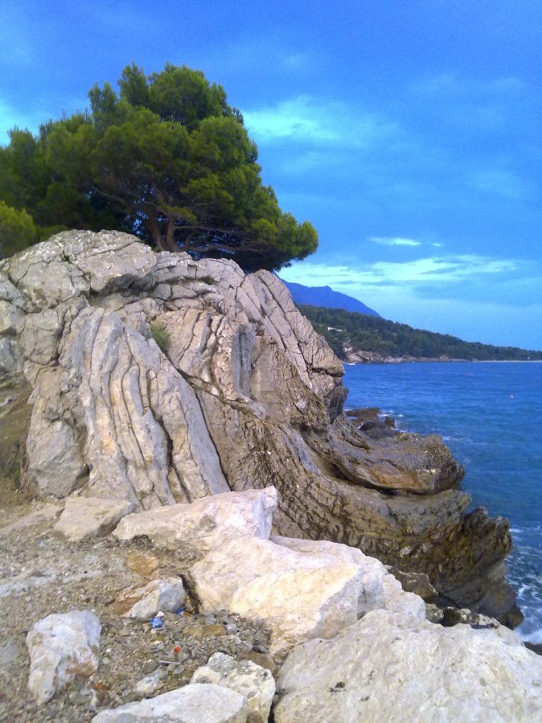 Náhled aktuality asdasd